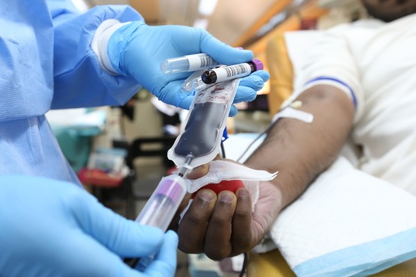 Más de 80 hematólogos y eficiente Programa de Hemofilia garantizan atención a pacientes hemofílicos en la Red Pública